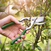 Gartenwerkzeug Kohlenstoffstahlklinge Nicht-Schicht-Beschichtung Aufenthalt scharfe Garten Obstbäume Bypass Schere Pruner Scissors